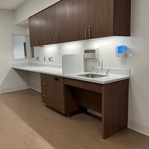 Custom Solid Surface Work Area